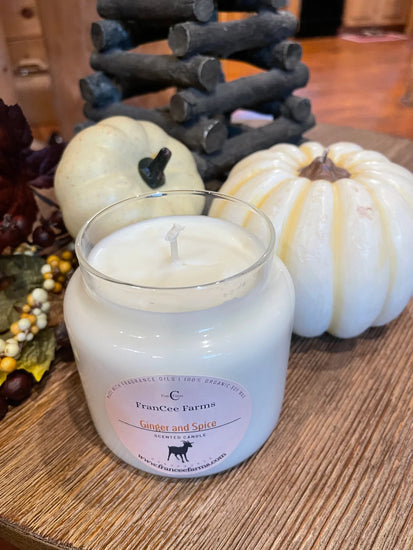 100% Soy Wax Candle- Large Ginger and Spice-Francee Farm