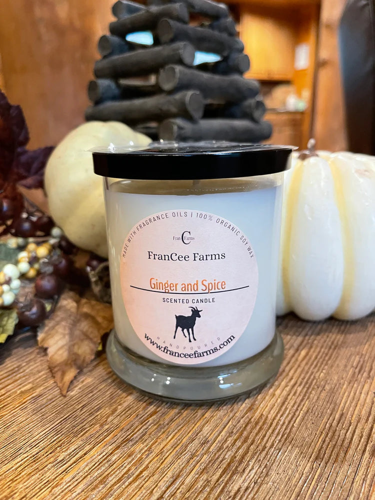 100% Pure Soy Wax Candle-Ginger and Spice-Francee Farms