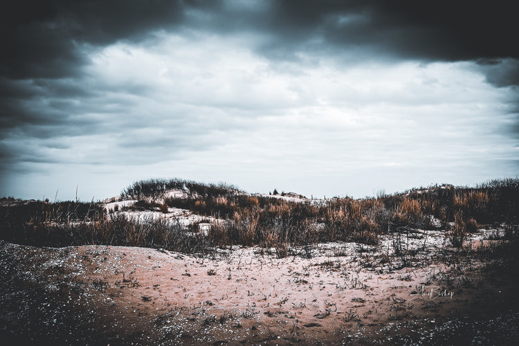 Stormy Dunes- The Assateague Island Collection