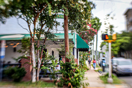 Summertime in Raleigh