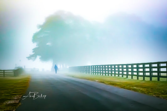 Fog at Sugg Farm